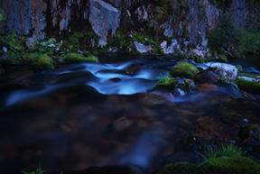 Плюшевая вода, текущая ночью в ручье Чистайга